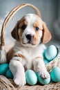 Cute puppy with blue Easter eggs in basket