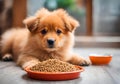 Cute puppy with a bowl of dog food. Royalty Free Stock Photo