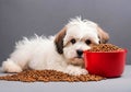 Cute puppy with a bowl of dog food. Royalty Free Stock Photo