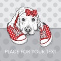 Cute puppy with bows and sneakers in polka dots. Vector illustration for a postcard or a poster, print for clothes. Pedigree dog.