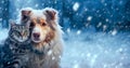 A cute puppy and a cat are walking through a snowy winter park in the cold winter. Waiting for help and care in cold conditions.