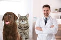 Cute puppy with cat and young veterinarian