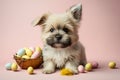 Cute puppy with coloerful easter eggs on pink background Royalty Free Stock Photo