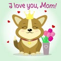 Puppy Corgi sits next to a vase with pink tulips, cartoon style. Congratulations. Happy Mother`s Day.