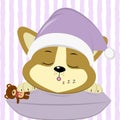 Cute puppy Corgi, in a pink hat, sleeps on a pillow and keeps a bear, on a striped background.