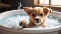 Cute puppy dog in bathroom tub taking a bath in soap foam