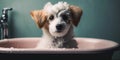 Cute puppy dog in bathtub, Pets Cleaning Concept. Pamper Your Pup with a Relaxing Bath. The Ultimate Cleanliness and Refreshment