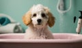 Cute puppy dog in bathtub, Pets Cleaning Concept. Pamper Your Pup with a Relaxing Bath. The Ultimate Cleanliness and Refreshment