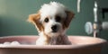 Cute puppy dog in bathtub, Pets Cleaning Concept. Pamper Your Pup with a Relaxing Bath. The Ultimate Cleanliness and Refreshment