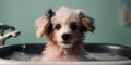Cute puppy dog in bathtub, Pets Cleaning Concept. Pamper Your Pup with a Relaxing Bath. The Ultimate Cleanliness and Refreshment