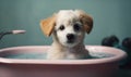 Cute puppy dog in bathtub, Pets Cleaning Concept. Pamper Your Pup with a Relaxing Bath. The Ultimate Cleanliness and Refreshment