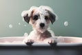 Cute puppy dog in bathtub , pets cleaning , Generative Ai Royalty Free Stock Photo