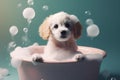 Cute puppy dog in bathtub , pets cleaning , Generative Ai Royalty Free Stock Photo