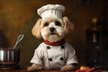 Cute puppy dog Chef with costume ready to cooking for dinner in kitchen room, funny moment, ingredient for cooking, pet concept,