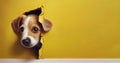 Cute puppy dog head peeking from hole in yellow wall. Generative AI Royalty Free Stock Photo