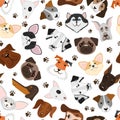 Cute puppy and dog mixed breed seamless pattern Royalty Free Stock Photo