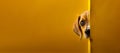 Cute puppy dog peeking from around the corner, dog head, copy space. Generative AI Royalty Free Stock Photo
