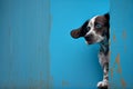 Cute puppy dog peeking from around the corner, dog head, copy space. Generative AI Royalty Free Stock Photo