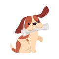 Cute Puppy Dog Playing with Bone, Adorable Pet Animal with White and Brown Coat Cartoon Vector Illustration Royalty Free Stock Photo