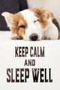 Cute puppy dog sleeping on the couch, english text keep calm and sleep well