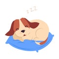 Cute Puppy Dog Sleeping on Pillow, Adorable Pet Animal with White and Brown Coat Cartoon Vector Illustration Royalty Free Stock Photo