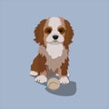 Cute puppy dog spaniel breed. Royalty Free Stock Photo