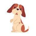 Cute Puppy Dog Standing on Hind Legs, Adorable Pet Animal with White and Brown Coat Cartoon Vector Illustration Royalty Free Stock Photo