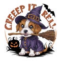a cute puppy dressed as a witch and holding a broomstick Royalty Free Stock Photo