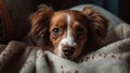 A cute puppy with floppy ears and big brown eyes snuggled up in a cozy bed created with Generative AI Royalty Free Stock Photo