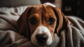 A cute puppy with floppy ears and big brown eyes snuggled up in a cozy bed created with Generative AI Royalty Free Stock Photo