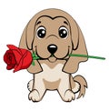 Cute puppy with a flower cartoon hand drawn vector illustration. Can be used for t-shirt print, kids wear fashion design, baby sho Royalty Free Stock Photo