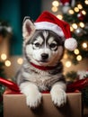 Cute puppy husky wearing Santa Claus red hat sits in the gift box. Merry Christmas and Happy New Year decoration