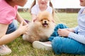 Cute Puppy with Kids