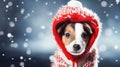 A cute puppy in knitted red hooded sweater looks at the camera with sad eyes. Funny dog dressed in warm suit in winter