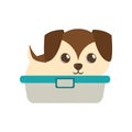 cute puppy little brown bathtub