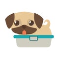 Cute puppy little tongue out bathtub