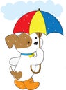 Cute Puppy in Rain