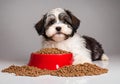 Cute puppy with a red bowl of dog food and lots of food on the floor. Royalty Free Stock Photo