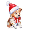 Cute puppy in red Santa hat on isolated white background, holiday watercolor illustration, poster Royalty Free Stock Photo