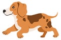 Cute puppy running. Active cartoon beagle dog