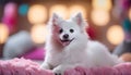 Cute puppy sitting, looking at camera, playful, fluffy, small dog generated by AI