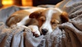 Cute puppy sleeping on soft bed, surrounded by toys generated by AI Royalty Free Stock Photo