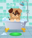 Cute puppy taking bath. Dog grooming