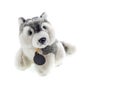 Cute puppy toy shot on white Royalty Free Stock Photo