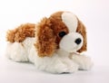 Cute puppy toy shot on white Royalty Free Stock Photo