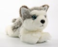 Cute puppy toy shot on white Royalty Free Stock Photo