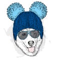 Cute puppy wearing a hat and sunglasses. Illustration for a card or poster. Vector illustration. Dog. Royalty Free Stock Photo