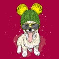 Cute puppy wearing a hat and sunglasses. Illustration for a card or poster. Vector illustration. Dog. Royalty Free Stock Photo