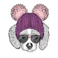 Cute puppy wearing a hat and sunglasses. Illustration for a card or poster. Vector illustration. Dog. Royalty Free Stock Photo
