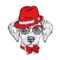 Cute puppy wearing a hat, sunglasses and a tie. Vector illustration. Beautiful dog. Dalmatians. Royalty Free Stock Photo